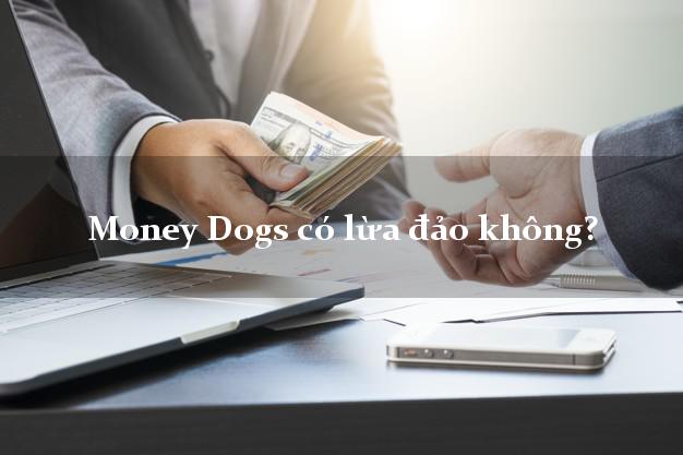 Money Dogs có lừa đảo không?