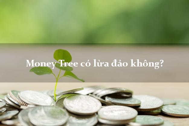 Money Tree có lừa đảo không?