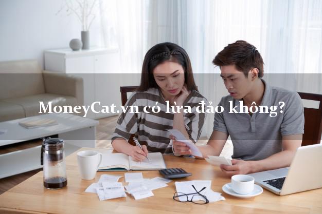 MoneyCat.vn có lừa đảo không?