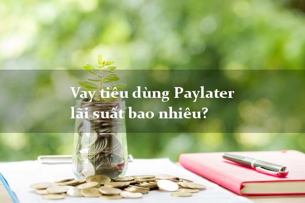 Vay tiêu dùng Paylater lãi suất bao nhiêu?