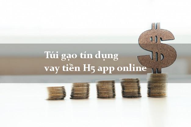 Túi gạo tín dụng vay tiền H5 app online